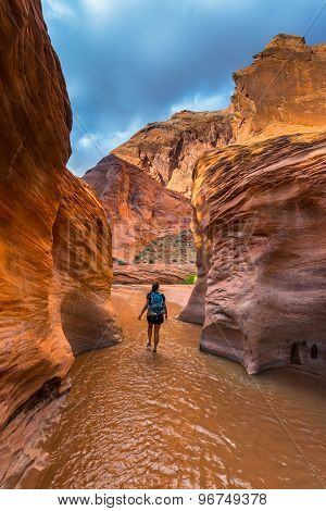 Girl Hiker In Coyote Gulch Escalante