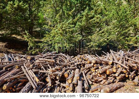 Firewood fire wook pattern texture in Spain forest