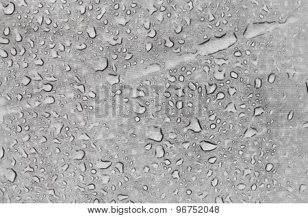 Water Drops