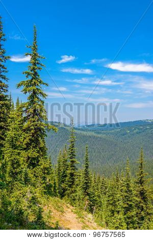 Rocky Mountains. Coastal Mountains. Blackwall Peak trail in Manning Park. British Columbia. Canada.