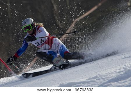 GARMISCH PARTENKIRCHEN, GERMANY. Feb 19 2011: Denise Feierabend (SUI) competing in the women's slalom race , at the 2011 Alpine skiing World Championships
