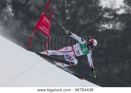 GARMISCH PARTENKIRCHEN, GERMANY. Feb 18 2011: Bjoern Sieber (AUT) competing in the mens giant slalom race on the Kandahar race piste at the 2011 Alpine skiing World Championships