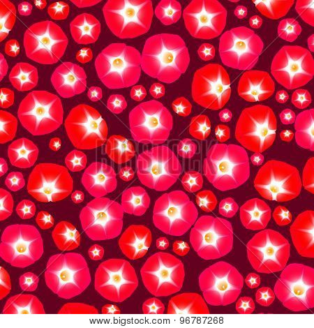 Pattern with ipomoea flowers
