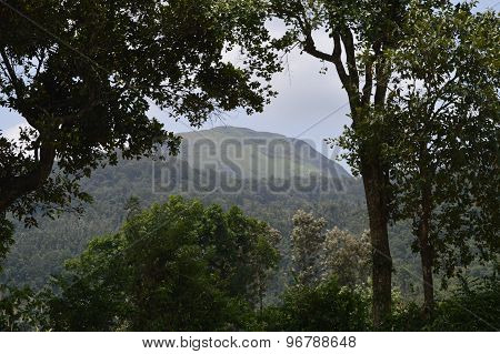 Hornadu hill india