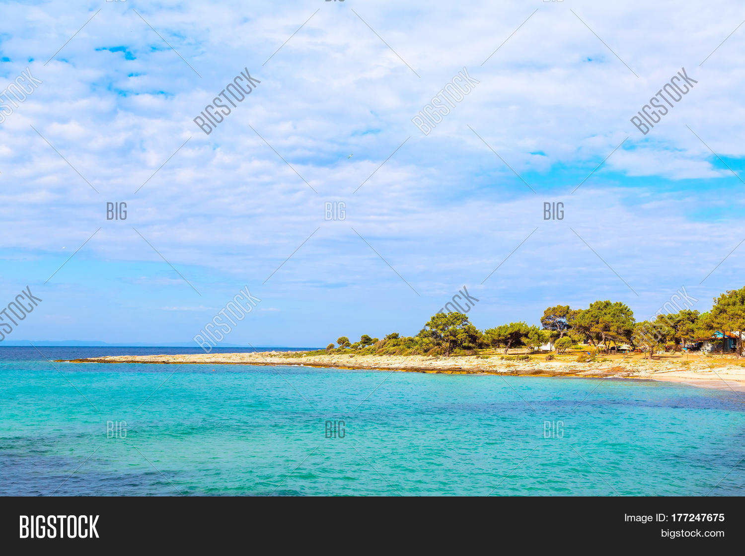 Image Preview