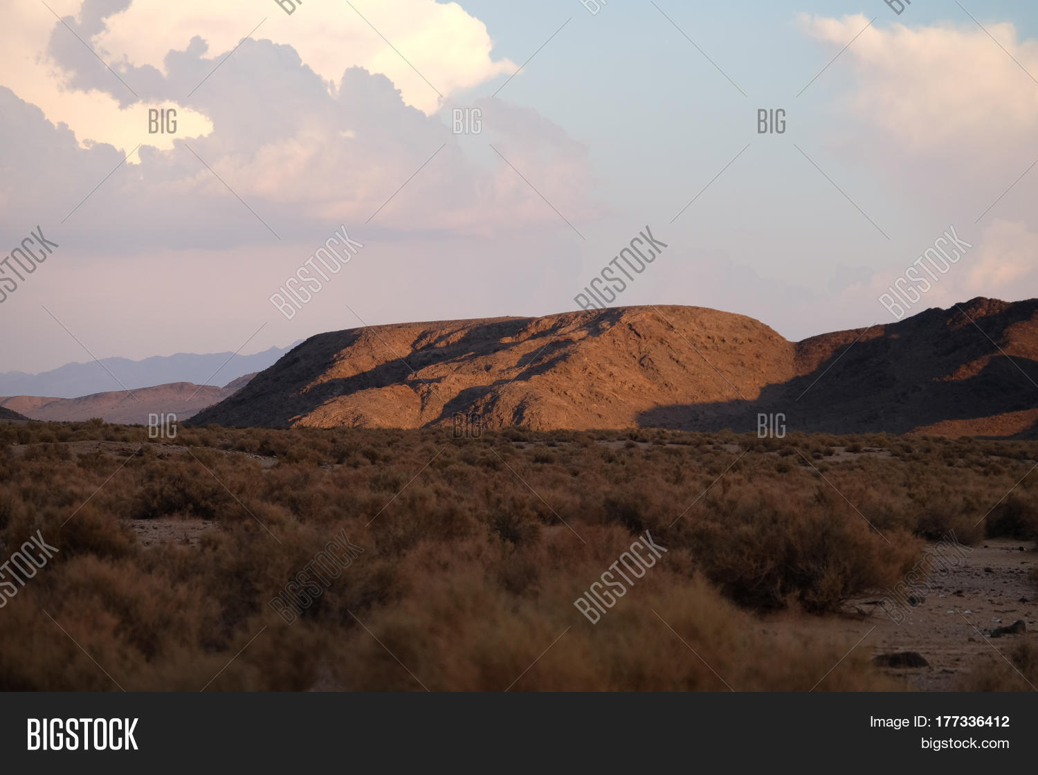 Image Preview