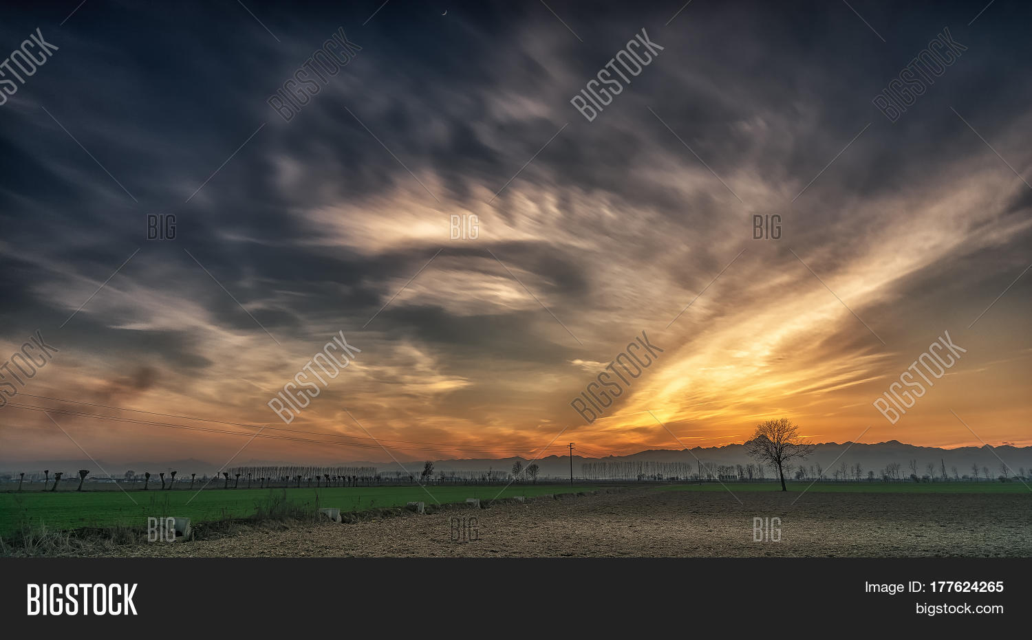 Image Preview