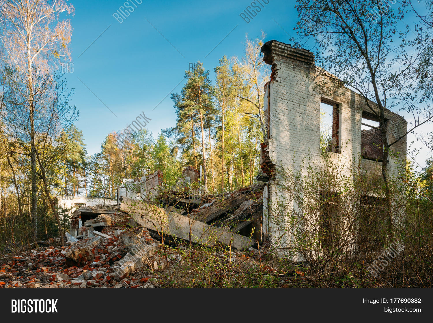 Image Preview