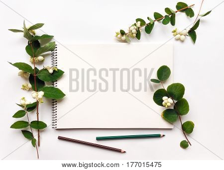 Natural composition with sketchbook and pencils on white background decorated with green snowberry branches and berries. Flat lay top view view from above