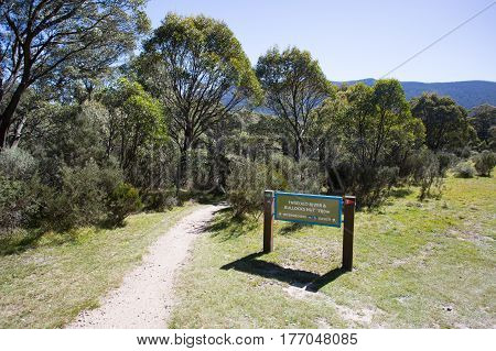 The walking trails along the Thredbo River at Lake Crackenback, New South Wales, Australia
