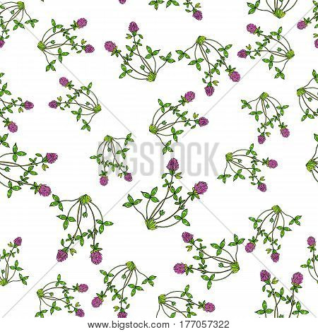 Seamless pattern with red clover. Vector illustration