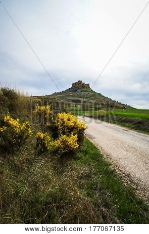 Medieval Castle In Gormas And Yelloow Flowers, Soria, Castilla Y Leon, Spain