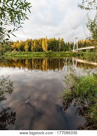 Mountain River In Summer Surrounded By Forest