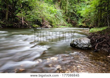 Mountain River In Summer Surrounded By Forest