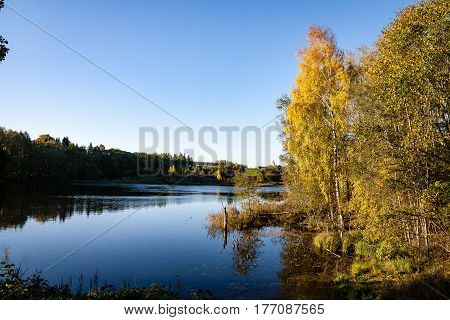 Mountain River In Summer Surrounded By Forest