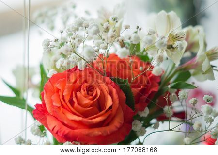 red roses and white Alstroemeria on window