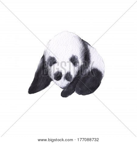 Bear the panda. Isolated on white background. Watercolor illustration.