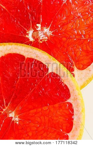 Succulent citrus - bright grapefruit on whight  background.