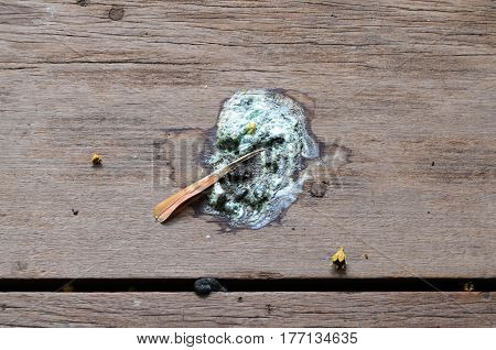 Bird excrement or droppings on brown wooden floor
