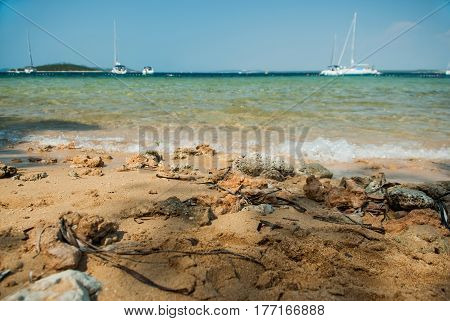 Vrgada Island, Dalmatia, Croatia
