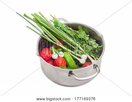 Different washed vegetables and potherb with drops of water in the stainless steel pot on a light background