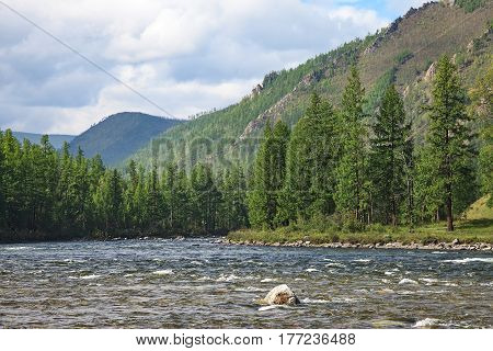 Mountain river on green forest and mountains background in summer, landscape