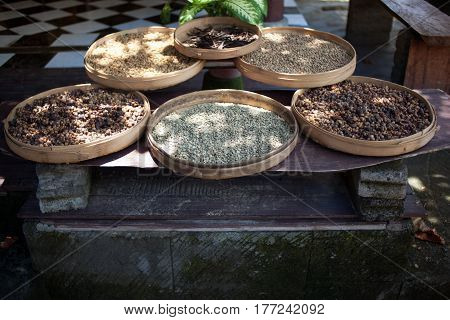 Luwak coffee as made and sold in Bali Indonesia