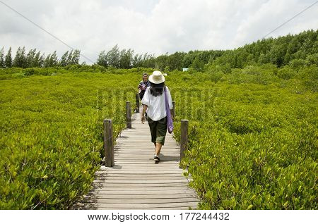 Traveler Thai Woman Walking On Wooden Bridge For Travel And Visit Golden Mangrove Field Thai Name Tu