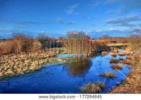 Spring flooding in Boundary Bay Regional Park. Tsawwassen. Metro Vancouver. British Columbia. Canada.