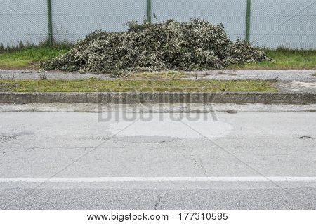 Collection of pruned piled leaves used in agriculture ad fetilizer