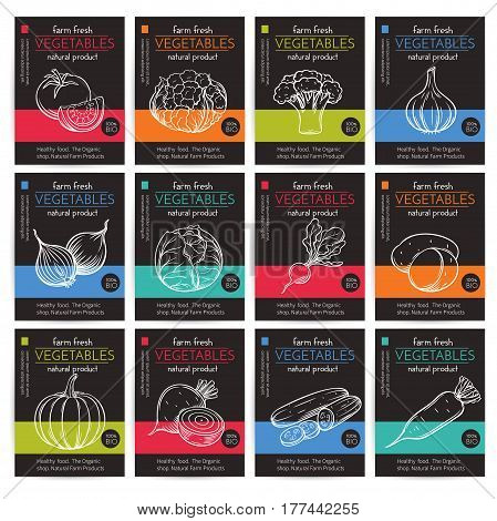 Vector hand drawn vegetables posters. Vintage style healthy food concept for farmers market menu design