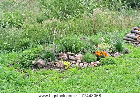 Rock garden with stones tagetes vinca origano and thyme and uncultivated field on background