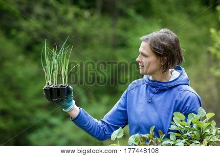 Proud woman gardener observing her seedlings collection prepared to be planted on her garden. Organic gardening healthy food self-supply and housework concept.