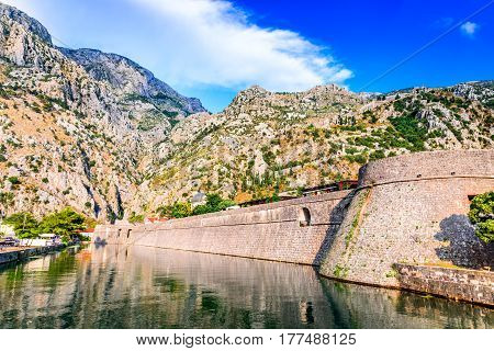 Bay of Kotor Montenegro. Venetian fortress of Kotor and Scurda river. Tower and wall mountain Lovcen at the background.