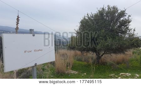 Sign and tree in a field, Crete