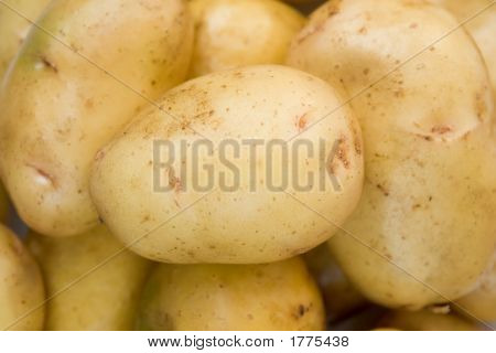 Fresh Potatoes