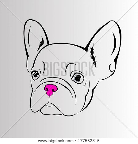 dog vector breed cute pet animal bulldog french