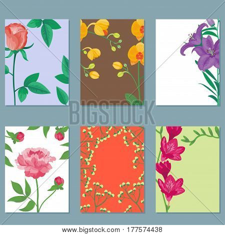 Cartoon petal vintage floral vector bouquet garden flower botanical natural peonies illustration and summer floral greeting card spring blossom. Botany colorful rose flora element decoration.