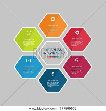 Business Infographic Hexagon