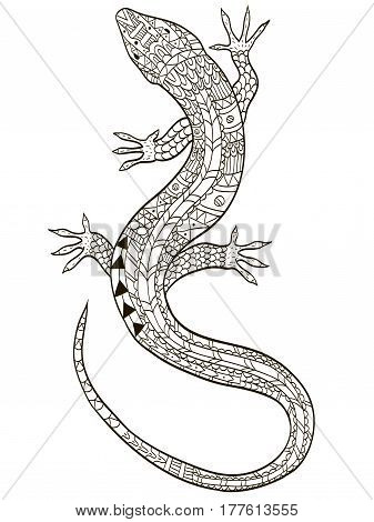 Lizard coloring vector for adults illustration. Anti-stress coloring for adult. Zentangle style. Black and white lines listen. Lace pattern
