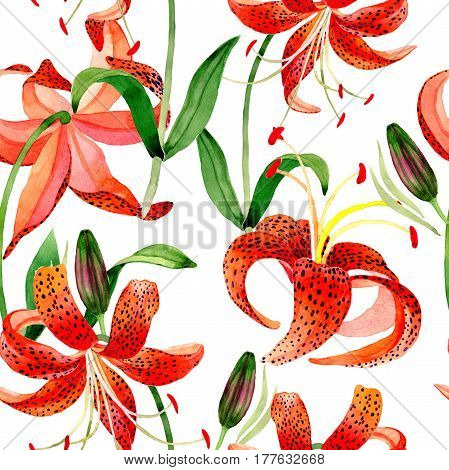 Wildflower leopard lily flower pattern in a watercolor style isolated.  Aquarelle wild flower for background, texture, wrapper pattern, frame or border.