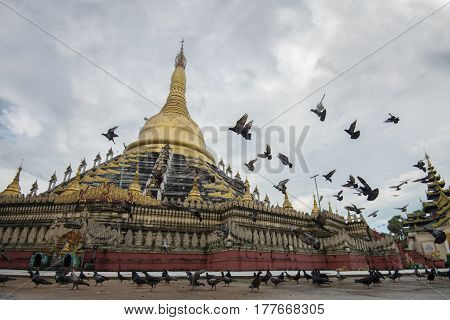 Mahazedi paya with pigeon the largest pagoda in bago myanmar