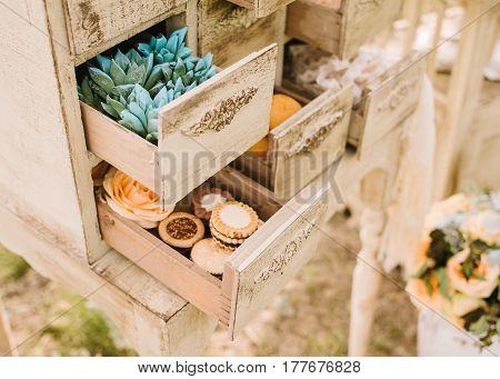 wedding decor outdoor. green plants - succulents and sweet cookies in small boxes of a vintage dresser close up. Ancient white commode bureau with paint peeled stucco mouldings roccoco elements.