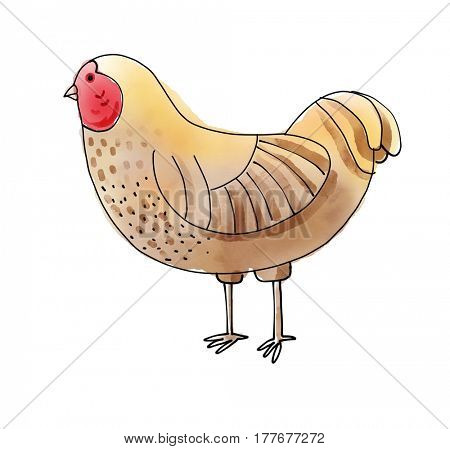 Chicken Watecolor Animal illustration set