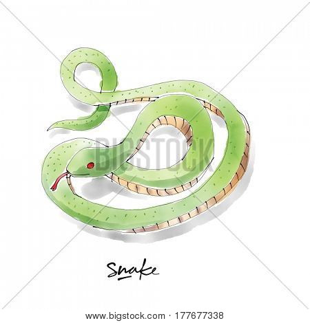 Snake. Watercolor animal drawing collection