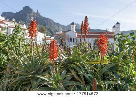 Tejeda village in Gran Canaria, church and mountains in background