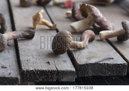 Brown mushrooms on a vintage wooden table