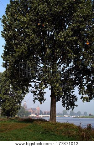 Landscape On Cuijck