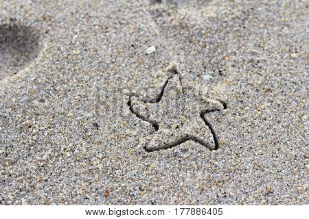 Close-up of a five pointed star drawn in the moist speckled beige sand grains on a beach in the day. One star design made in the coast sand close-up on a sunny day.