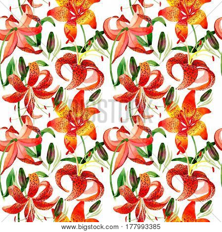Wildflower leopard lily flower pattern in a watercolor style isolated.  Aquarelle wild flower for background, texture, wrapper pattern, frame or border.